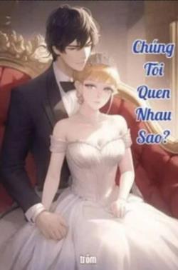 Chúng Tôi Quen Nhau Sao? đọc online